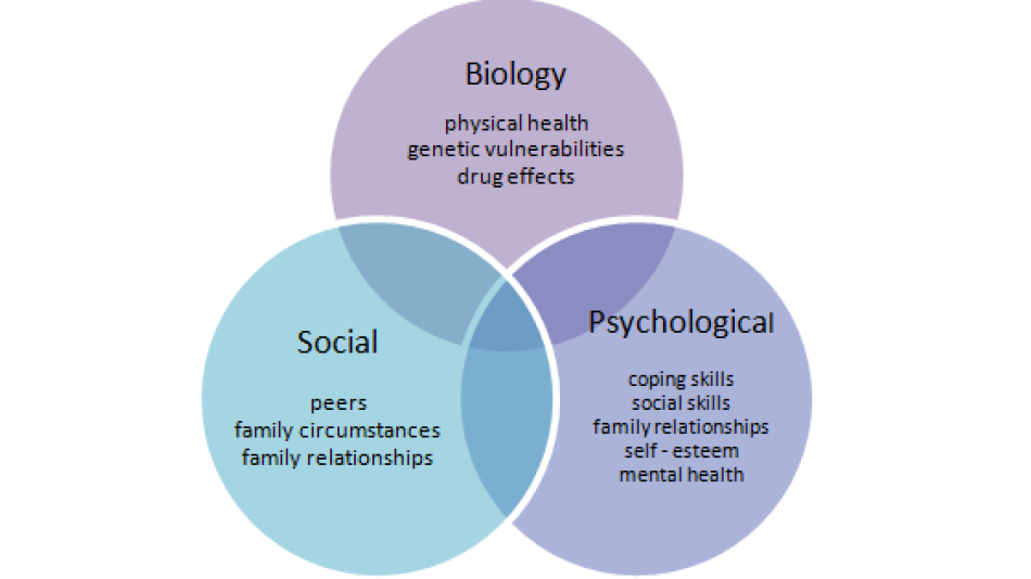 what is biopsychosocial model